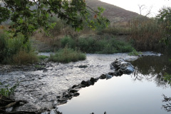 IMG_2773_resize