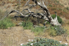 IMG_2830_resize