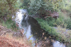 IMG_3956_resize