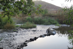 IMG_3959_resize