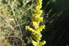 IMG_3979_resize