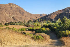 1000023981_resize