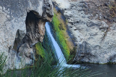 1000023983_resize