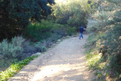 DSCN3630_resize