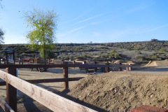 DSCN3634_resize