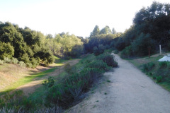DSCN3637_resize