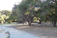 DSCN3639_resize