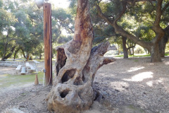 DSCN3640_resize
