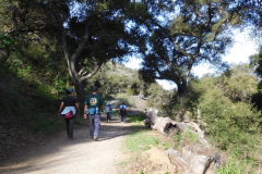 DSCN3644_resize