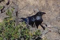 DSCN3421_resize