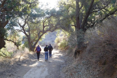 DSCN3430_resize