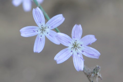 IMG_3883_resize