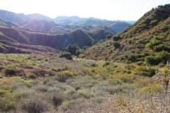 IMG_3894_resize