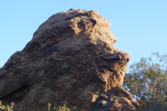 DSCN4809_resize