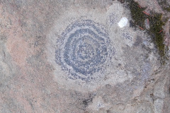 DSCN4821_resize