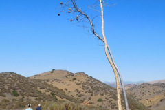 DSCN4827_resize