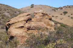 DSCN4829_resize