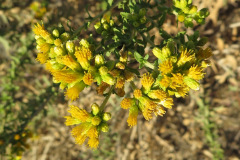 IMG_4307_resize