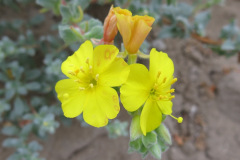 IMG_2030_resize