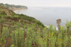 IMG_2150_resize