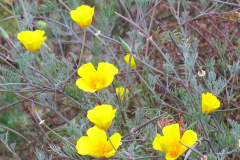 IMG_2151_resize