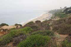 IMG_3829_resize