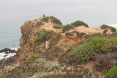 IMG_3830_resize