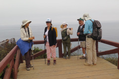 IMG_3832_resize