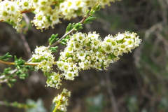 IMG_4161_resize