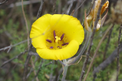 IMG_4193_resize