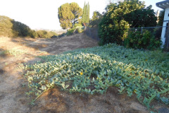 DSCN2829_resize