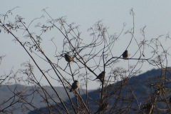DSCN2837_resize