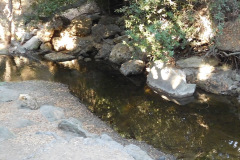 DSCN2846_resize