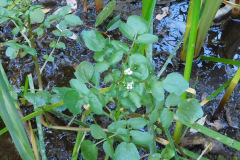 DSCN2852_resize