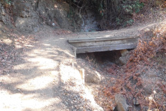 DSCN2853_resize