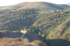 IMG_2298_resize