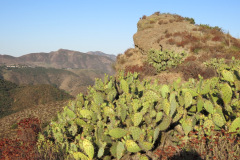 IMG_2299_resize