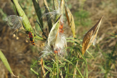 IMG_2307_resize