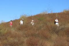 IMG_2318_resize