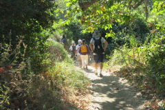 IMG_2331_resize