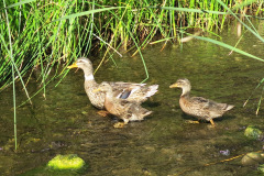 IMG_2353_resize