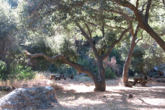 IMG_2364_resize