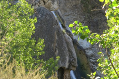 IMG_2373_resize