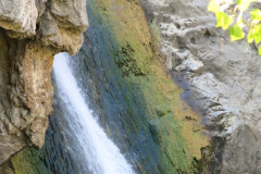 IMG_2377_resize