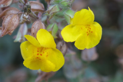 IMG_2402_resize
