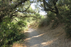 IMG_2405_resize
