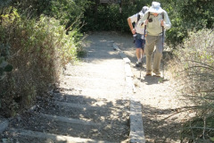 IMG_2450_resize