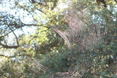IMG_3946_resize