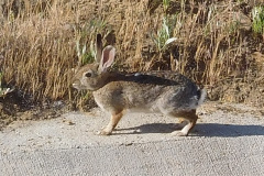 DSCN4136_resize