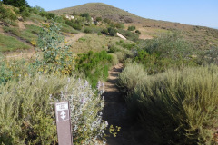 DSCN4138_resize